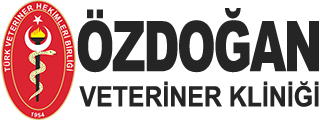 Özdoğan Veteriner Kliniği